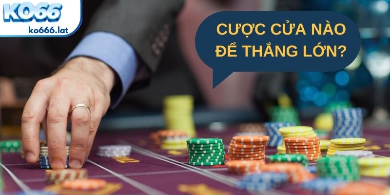 Chiến thuật chọn đúng cửa cược trong Rồng Hổ