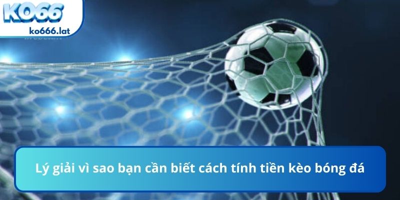 Lý giải vì sao bạn cần biết cách tính tiền kèo bóng đá