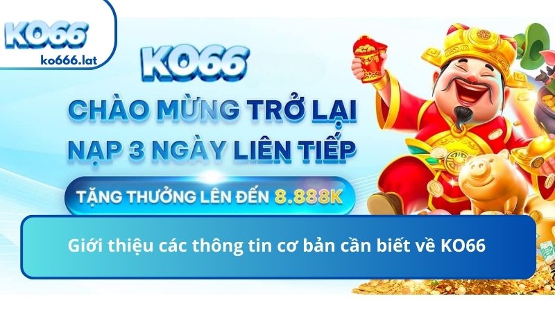 Giới thiệu các thông tin cơ bản cần biết về KO666